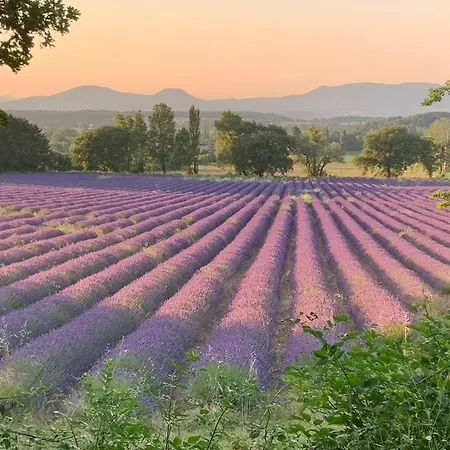 Villa Le Verger De Genas